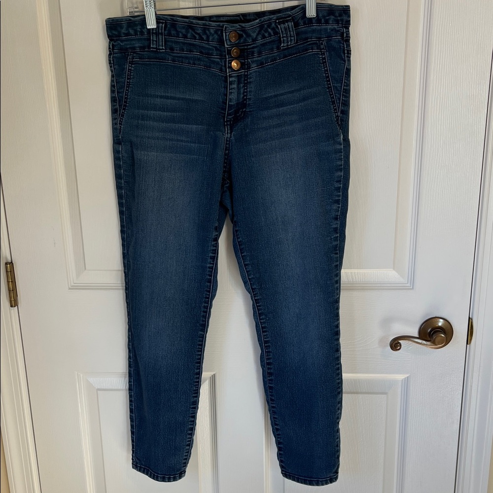 Miss Poured In Blue Ankle Jeans